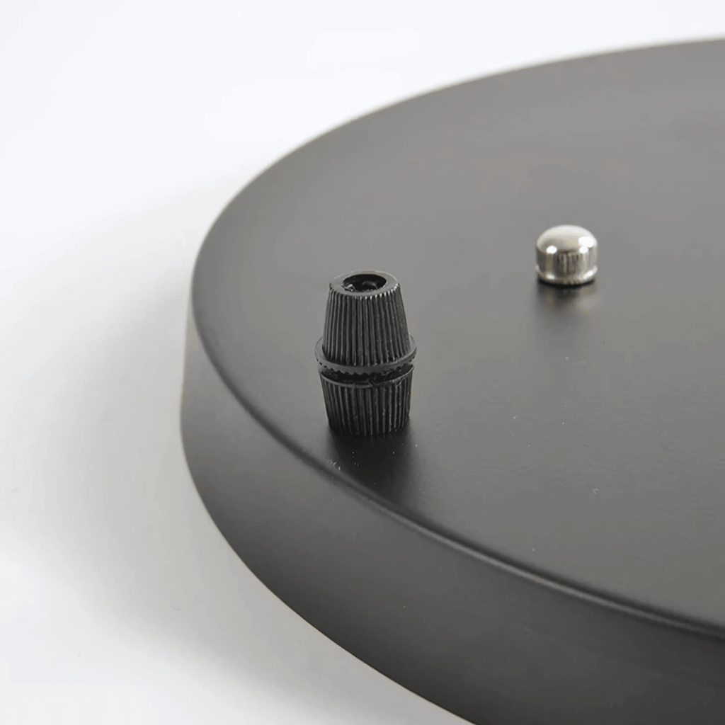 Ceiling Roses – alternate view 10