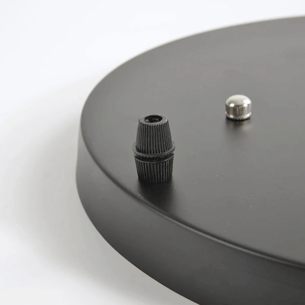 Ceiling Roses – alternate view 10