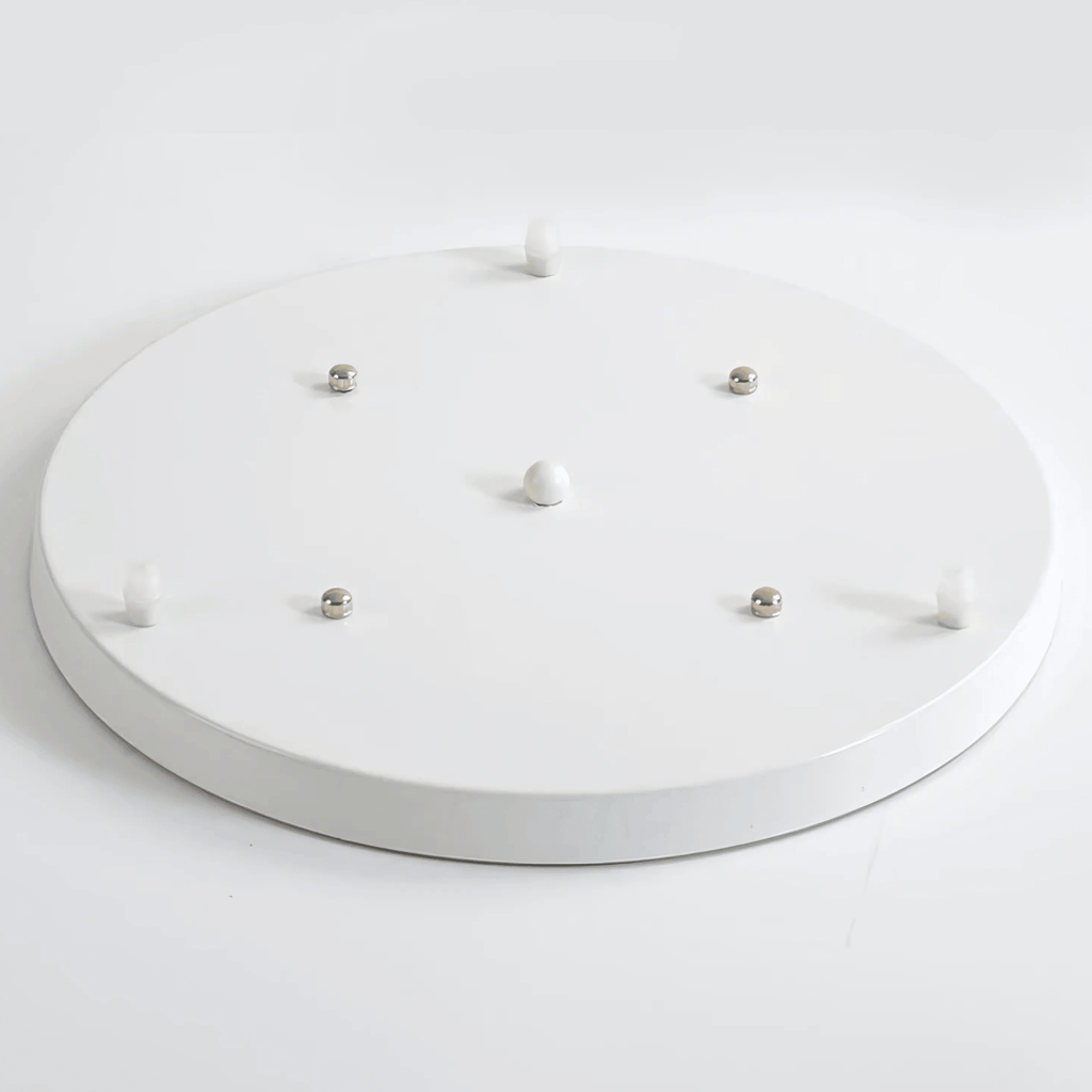 Ceiling Roses – alternate view 13
