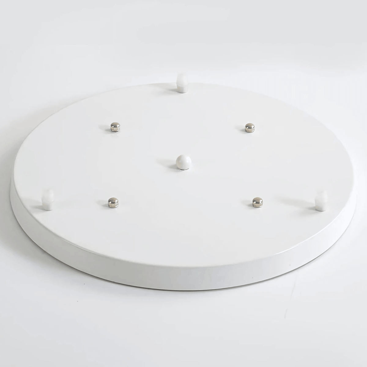 Ceiling Roses – alternate view 13