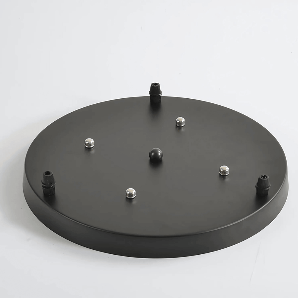 Ceiling Roses – alternate view 9