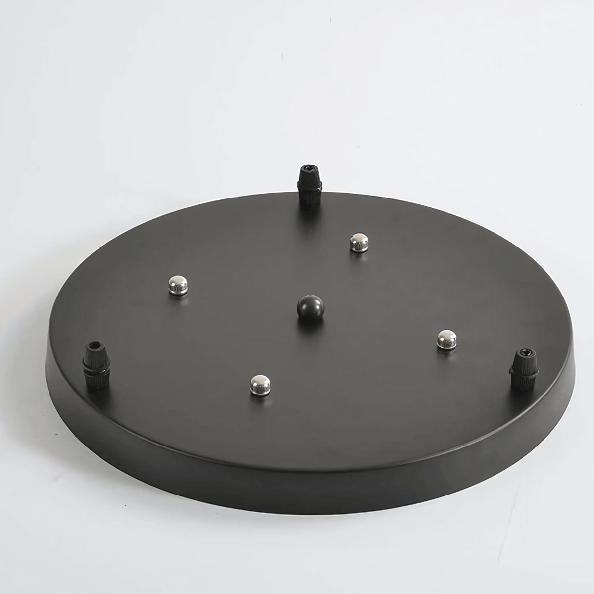 Ceiling Roses – alternate view 9