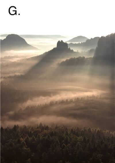 Idyllic Nature Prints – alternate view 10