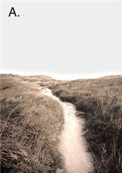 Idyllic Nature Prints – alternate view 4