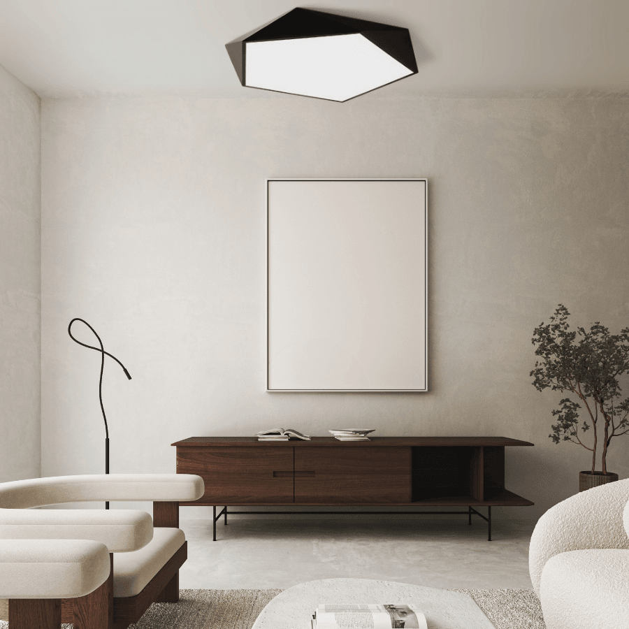 Skydor Ceiling Light