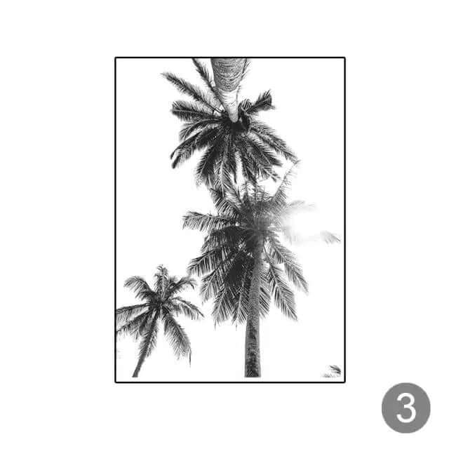 Tropical Black & White Photography – alternate view 4