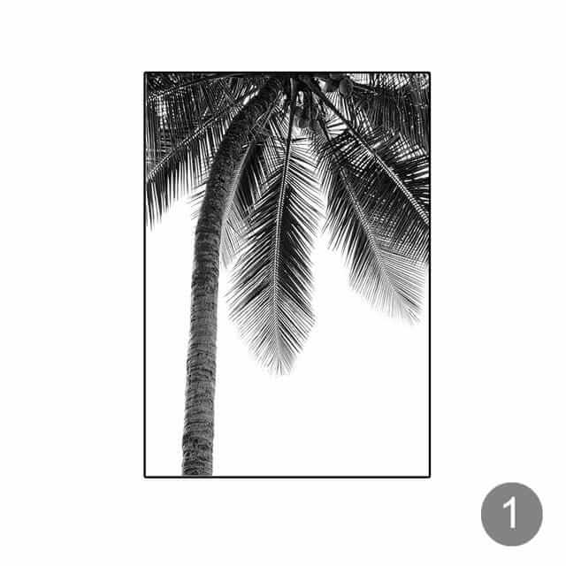 Tropical Black & White Photography – alternate view 2